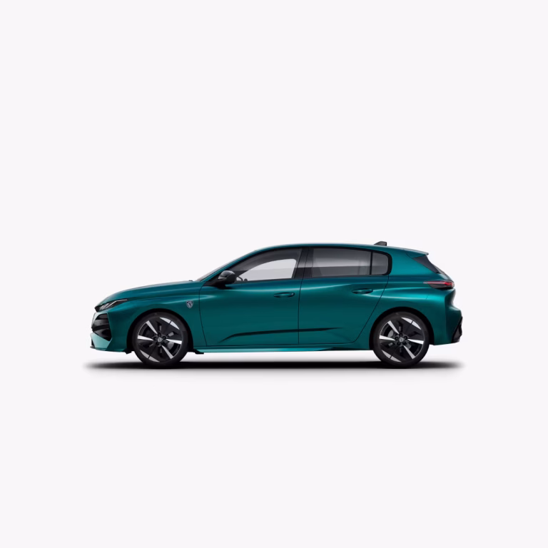 NUEVO 308